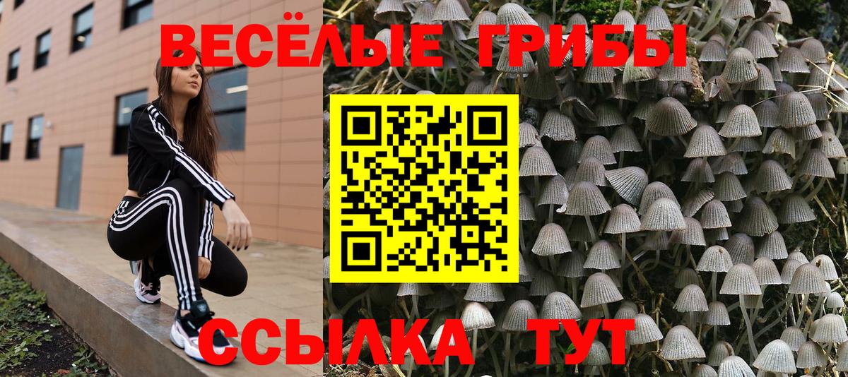 Галлюциногенные грибы Psilocybine cubensis  дарнет шоп  Борисоглебск  Галлюциногенные грибы мухоморы  Вход с VPN 